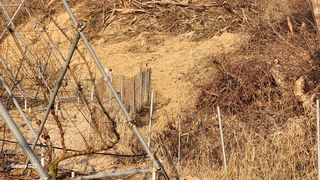 김준한님의 기타작물 · 영농일지 작성글 사진