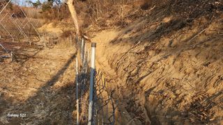 김준한님의 기타작물 · 영농일지 작성글 사진