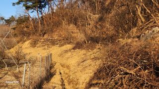 김준한님의 기타작물 · 영농일지 작성글 사진