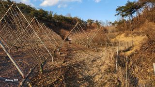 김준한님의 기타작물 · 영농일지 작성글 사진