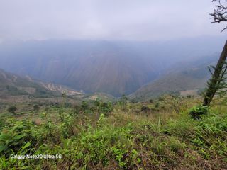 최석조입니다님의 기타작물 · 영농일지 작성글 사진
