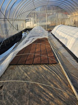 유영진님의 기타작물 · 영농일지 작성글 사진