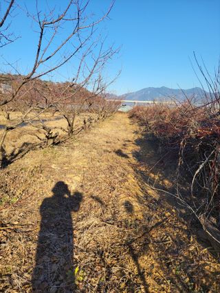 정택님의 기타작물 · 영농일지 작성글 사진