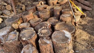 산뜰표고 이성재님의 기타작물 · 영농일지 작성글 사진