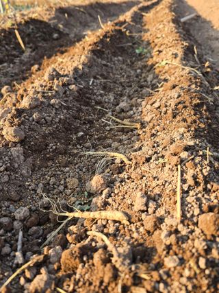 박정원님의 기타작물 · 영농일지 작성글 사진