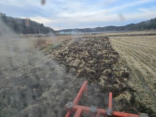 박정원님의 기타작물 · 영농일지 작성글 사진