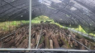 산뜰표고 이성재님의 기타작물 · 영농일지 작성글 사진