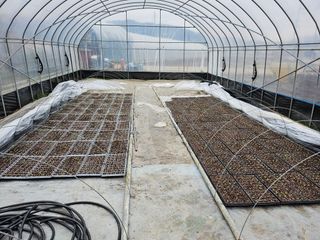 유영진님의 기타작물 · 영농일지 작성글 사진