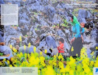 최석조입니다님의 기타작물 · 영농일지 작성글 사진