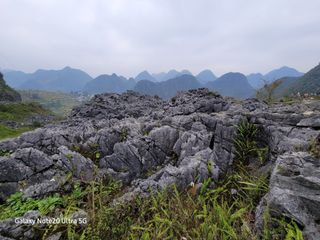 최석조입니다님의 기타작물 · 영농일지 작성글 사진