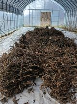 팜모닝 기타작물·영농일지 게시글 이미지