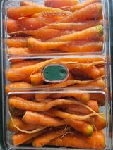 팜모닝 기타작물·영농일지 게시글 이미지