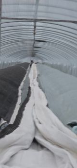 팜모닝 기타작물·영농일지 게시글 이미지