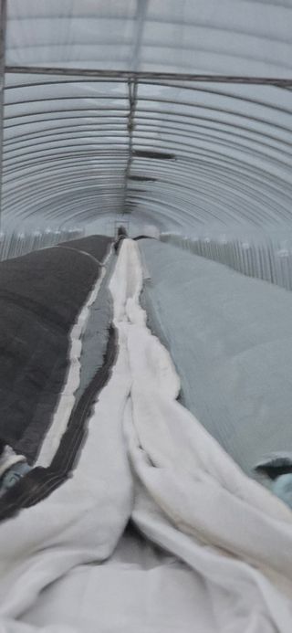 신동문님의 기타작물 · 영농일지 작성글 사진