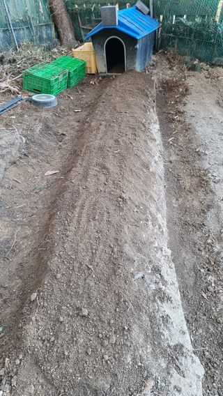 권혁렬님의 기타작물 · 영농일지 작성글 사진