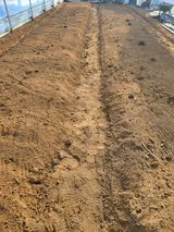 팜모닝 상추·영농일지 게시글 이미지