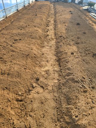 모링가팜님의 상추 · 영농일지 작성글 사진