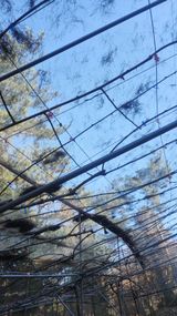 팜모닝 기타작물·영농일지 게시글 이미지