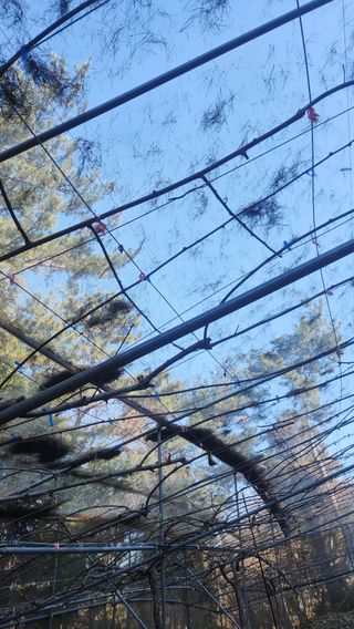 이레키위농장님의 기타작물 · 영농일지 작성글 사진