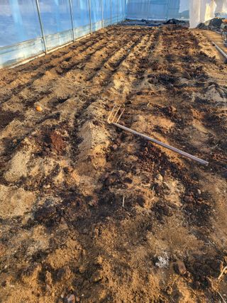 모링가팜님의 상추 · 영농일지 작성글 사진