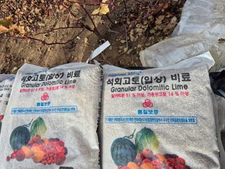 들깨15628님의 딸기 · 영농일지 작성글 사진