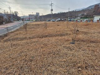 돌아온나그네님의 기타작물 · 영농일지 작성글 사진