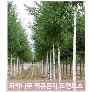 이선미님의 기타작물 · 영농일지 작성글 사진