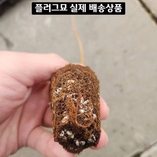 이선미님의 기타작물 · 영농일지 작성글 사진