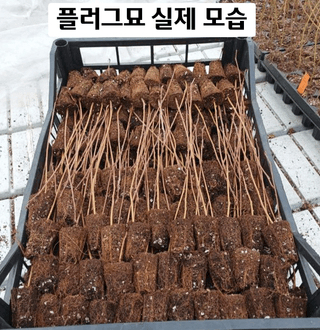 이선미님의 기타작물 · 영농일지 작성글 사진