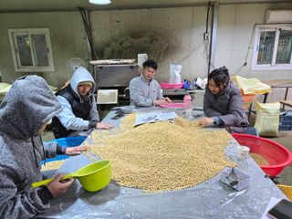 조일현님의 콩 · 영농일지 작성글 사진