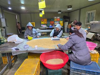 조일현님의 콩 · 영농일지 작성글 사진