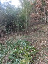 팜모닝 기타작물·영농일지 게시글 이미지