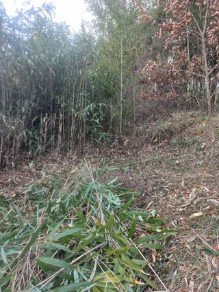 감11177님의 기타작물 · 영농일지 작성글 사진