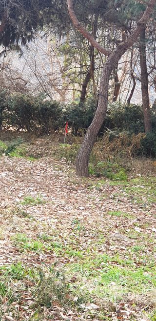 옥수수15939님의 기타작물 · 영농일지 작성글 사진