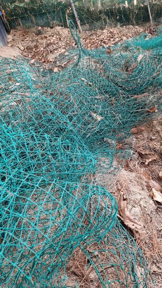 권혁렬님의 기타작물 · 영농일지 작성글 사진