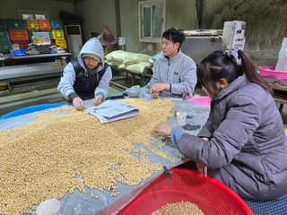 조일현님의 콩 · 영농일지 작성글 사진