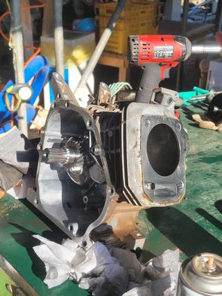 진호님의 기타작물 · 영농일지 작성글 사진