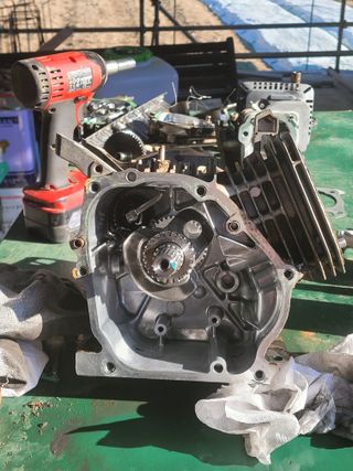 진호님의 기타작물 · 영농일지 작성글 사진