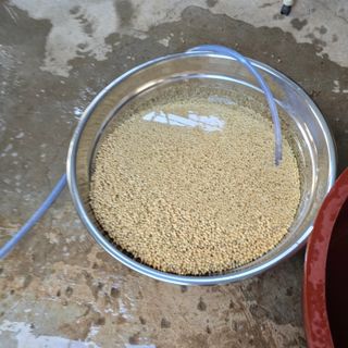 권춘화님의 기타작물 · 영농일지 작성글 사진