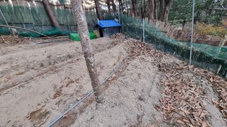 권혁렬님의 기타작물 · 영농일지 작성글 사진