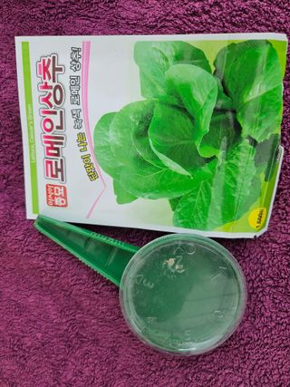 김제일주농장님의 상추 · 영농일지 작성글 사진