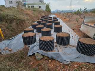 큐체리원님의 기타작물 · 영농일지 작성글 사진