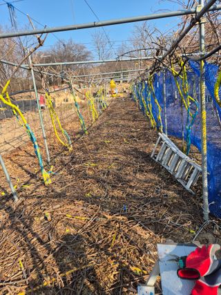 김학규님의 기타작물 · 영농일지 작성글 사진