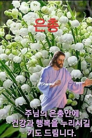 이훈정(시몬)님의 기타작물 · 영농일지 작성글 사진