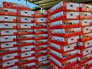 오금식(대청농원)님의 기타작물 · 영농일지 작성글 사진