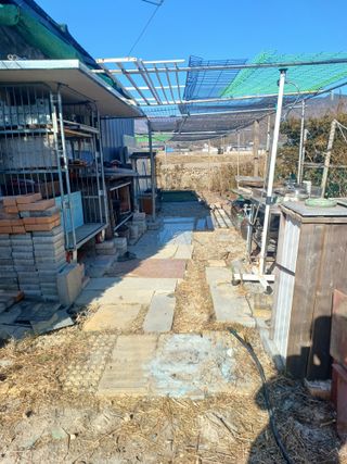 正覺님의 기타작물 · 영농일지 작성글 사진