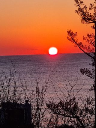 이찬암님의 기타작물 · 영농일지 작성글 사진