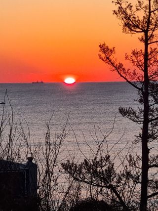 이찬암님의 기타작물 · 영농일지 작성글 사진