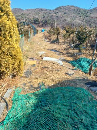 正覺님의 기타작물 · 영농일지 작성글 사진