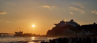 상촌농장 영가이버님의 기타작물 · 영농일지 작성글 사진